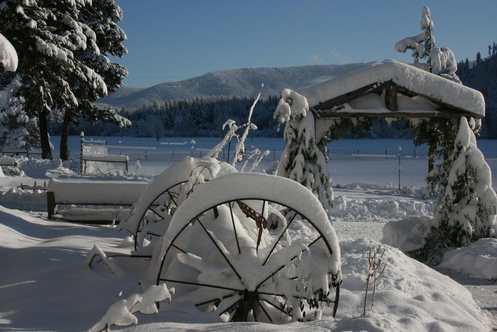 Cedar Mountain Farm Bed And Breakfast Llc Athol Exteriör bild