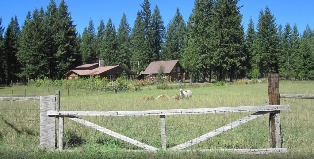 Cedar Mountain Farm Bed And Breakfast Llc Athol Exteriör bild