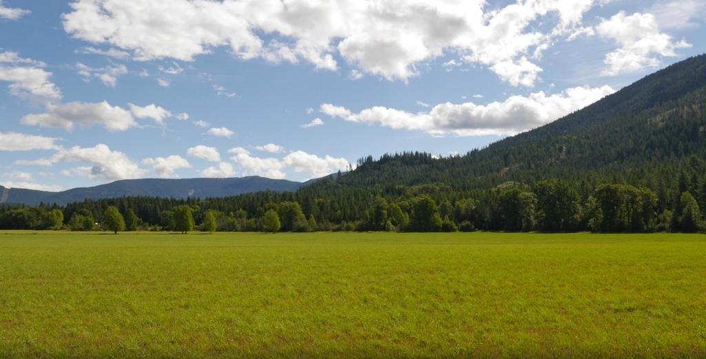 Cedar Mountain Farm Bed And Breakfast Llc Athol Exteriör bild