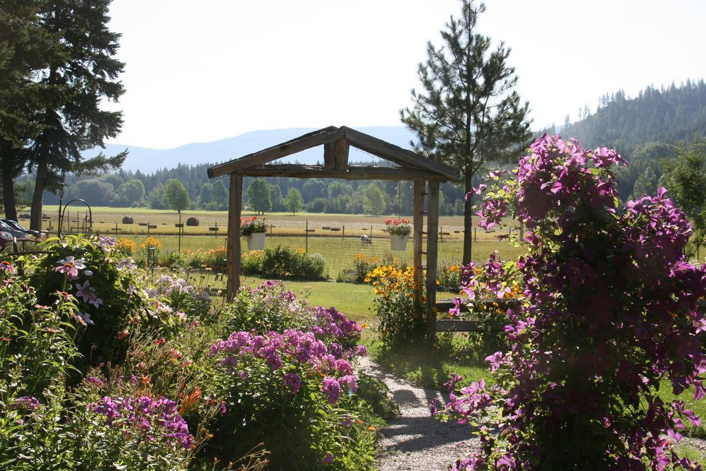Cedar Mountain Farm Bed And Breakfast Llc Athol Exteriör bild